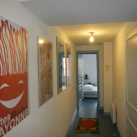 Centre Ville Charmant Apartman Bayonne